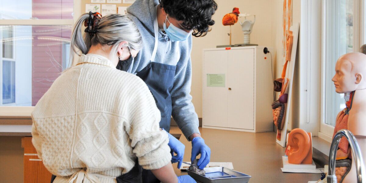 Two students doing a dissection in an anatomy and physiology lab.