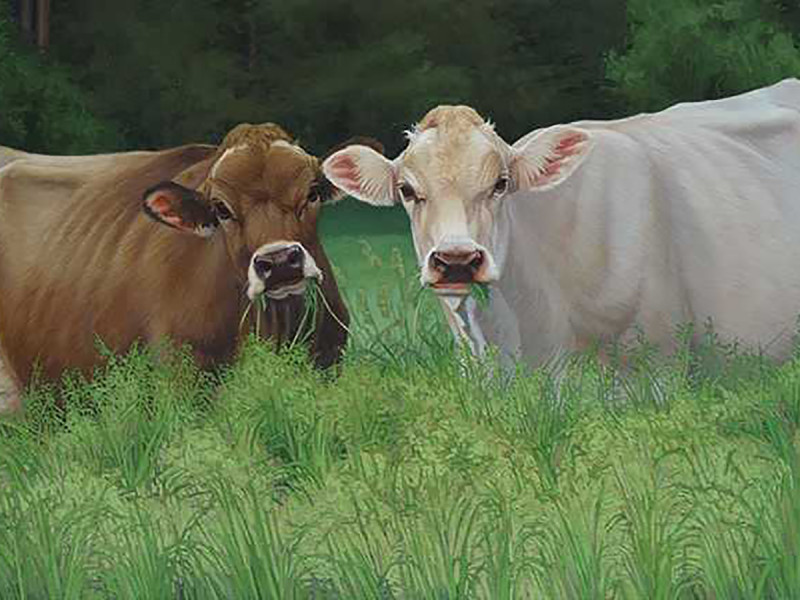 Faculty member Stephanie Bush's collection of oil paintings, "Ladies in Waiting," is on display in Stowe this month.