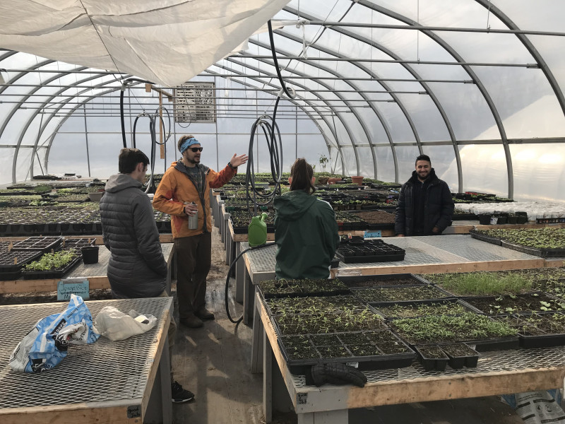 Students in Heather Fitzgerald's Moving Toward Sustainability class visited New Farms for New Americans at Burlington's Intervale Center.