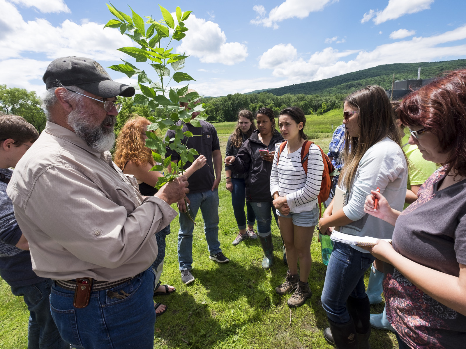 Classes community college of vermont