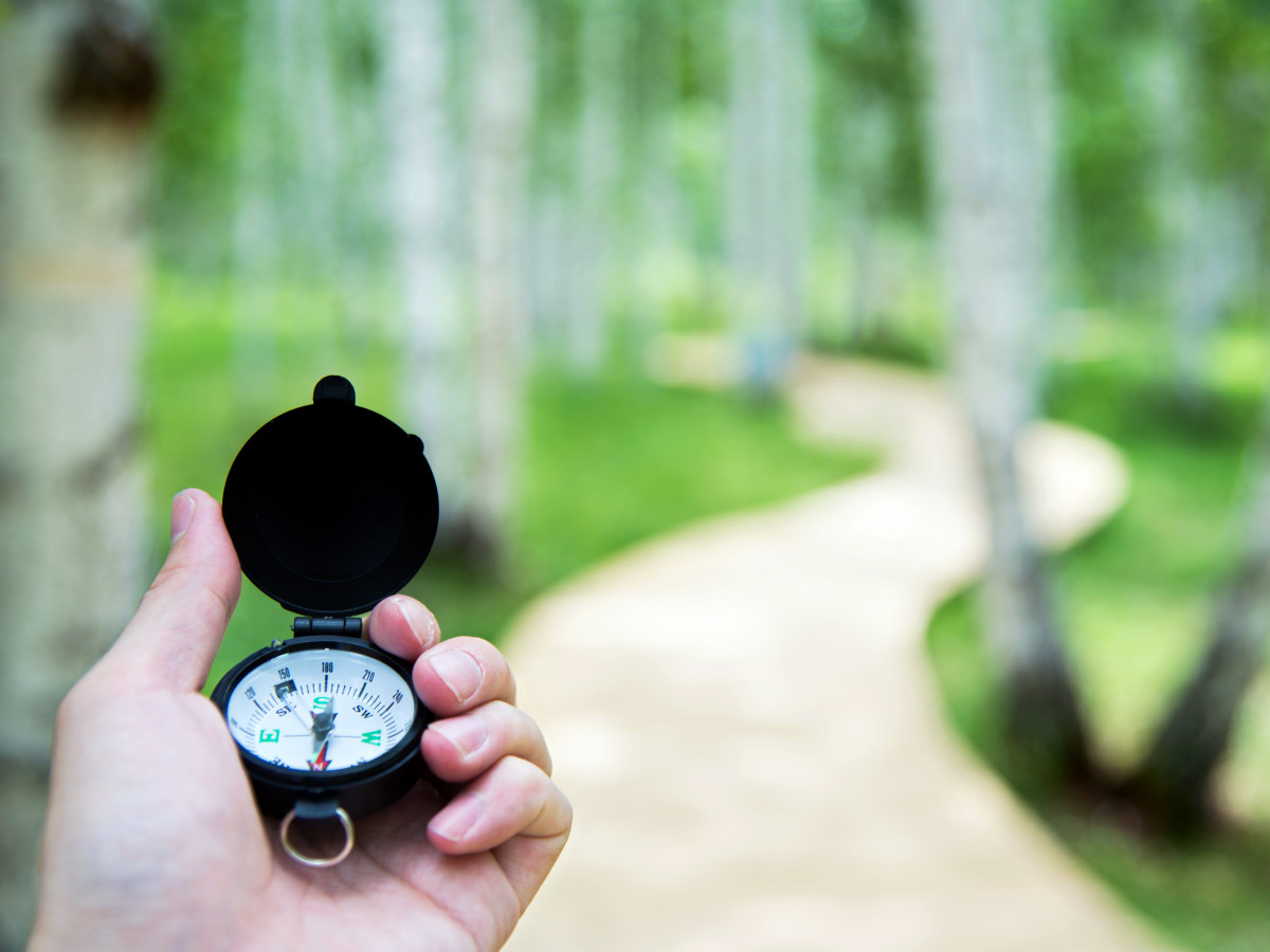 hand holding compass while looking down a path that represents the admissions process