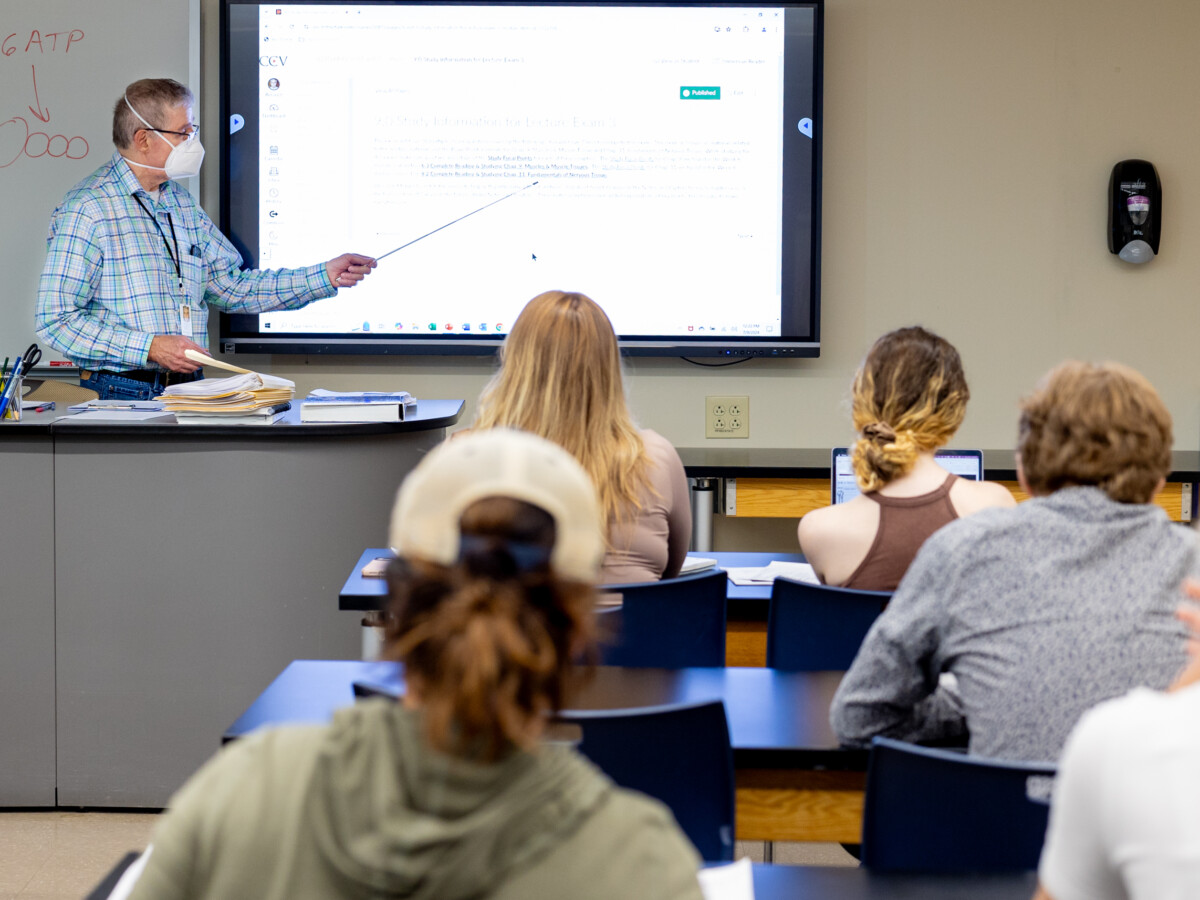 Professor teaching at front of class